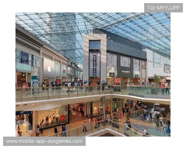 伯明翰桑德森几次回防质量极高 伯明翰桑德森几次回防质量极高