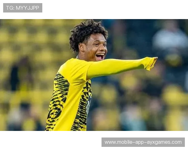 多特利用速度攻势打开局面,阿德耶米表现持续火热 多特利用速度攻势打开局面,阿德耶米表现持续火热